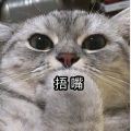 布这 “ 巅峰 ” 新车最后只卖 52 
