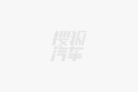 型车 奇瑞QQ多米正式上市电子pg5万级5座纯电微