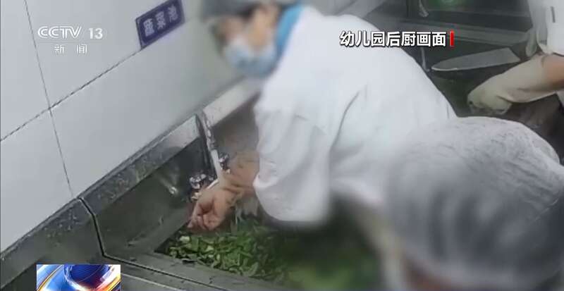 布被辞退 法院：支持！儿童安全重于一切pg试玩一名厨工在幼儿园洗碗池里洗墩(图10)