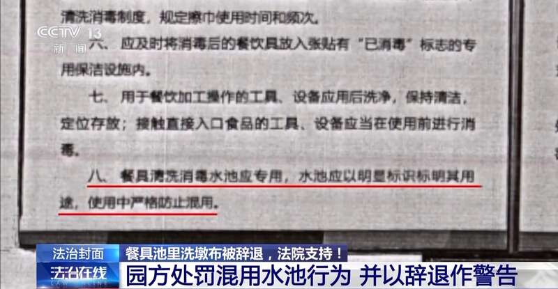 布被辞退 法院：支持！儿童安全重于一切pg试玩一名厨工在幼儿园洗碗池里洗墩(图19)