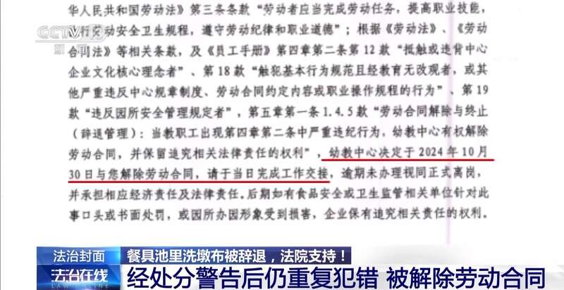布被辞退 法院：支持！儿童安全重于一切pg试玩一名厨工在幼儿园洗碗池里洗墩(图20)