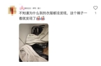 热搜第一！受害者现身控诉镜子猫腻回应pg